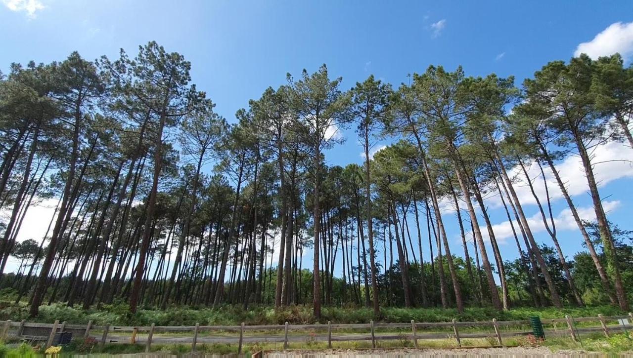 Maison Gemme A Landes ليو المظهر الخارجي الصورة